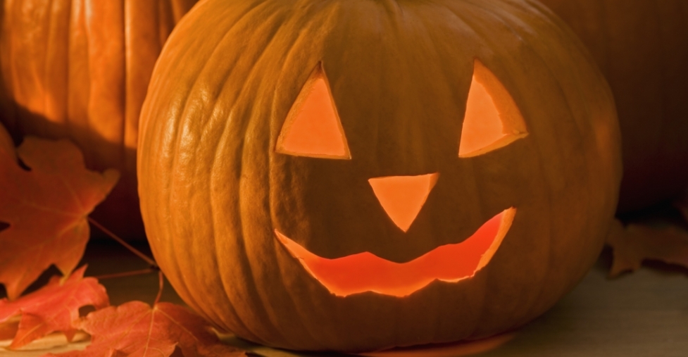 Happy Halloween: I Bet You Didn’t Know! | Linking to Thinking